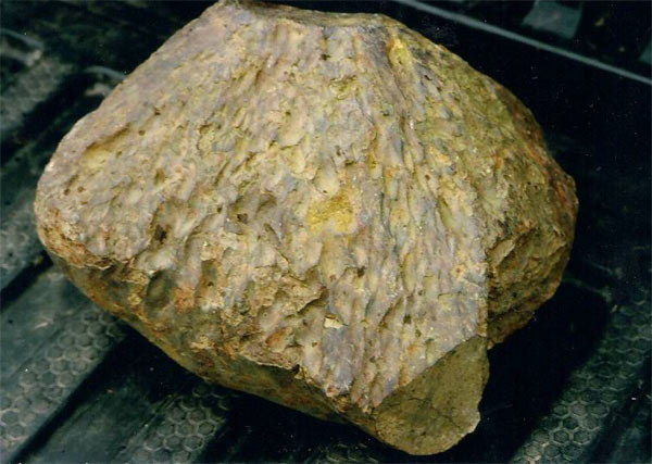 Ancient 40-pound Meteorite Pulled From Ditch in Oregon